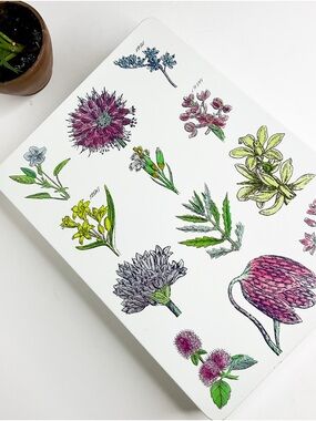 Crabtree & Evelyn Floral Botanical Decorative Tin  - Pink, Green, Yellow Accents